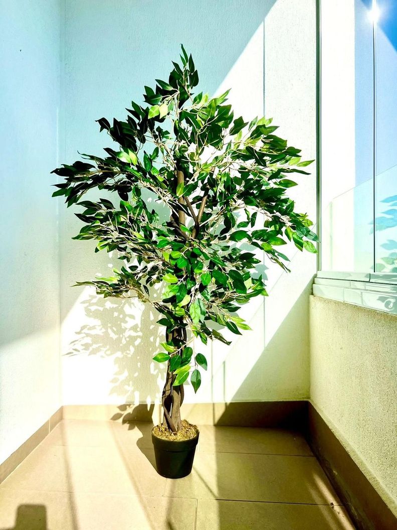 Planta Artificial Ficus Premium 120 Cm. / Arbusto Real-5