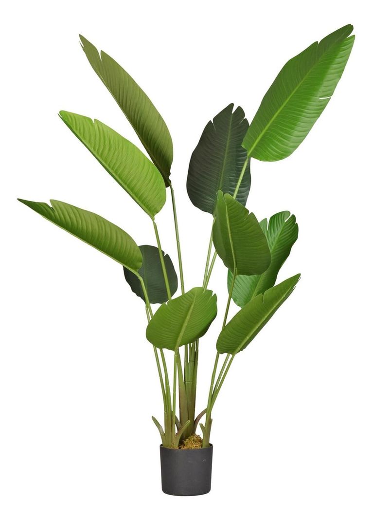 Planta Artificial Ave Paraíso 160 Cm/10 Hojas / Arbusto Real-0