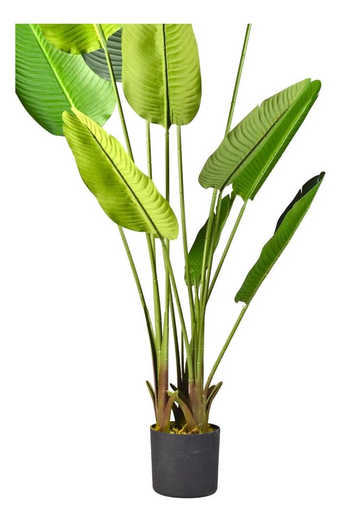 Planta Artificial Ave Paraíso 160 Cm/10 Hojas / Arbusto Real-2