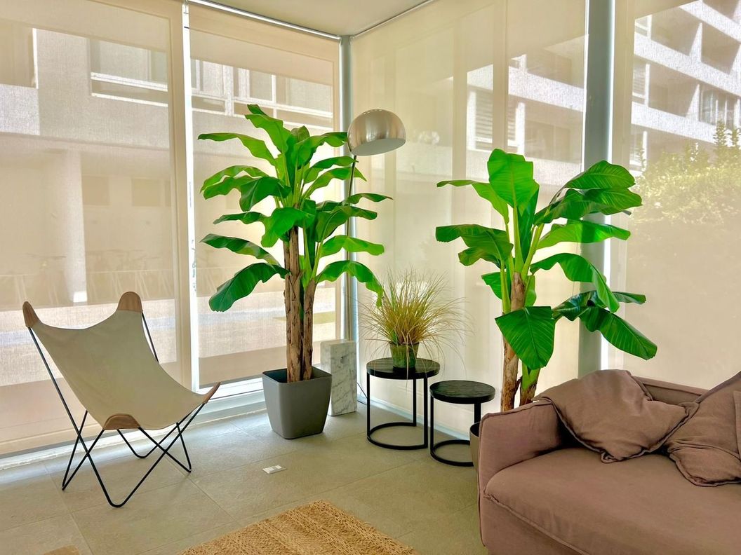 2 Plantas Artificiales Premium Banano 180 Cm Arbusto Real-6