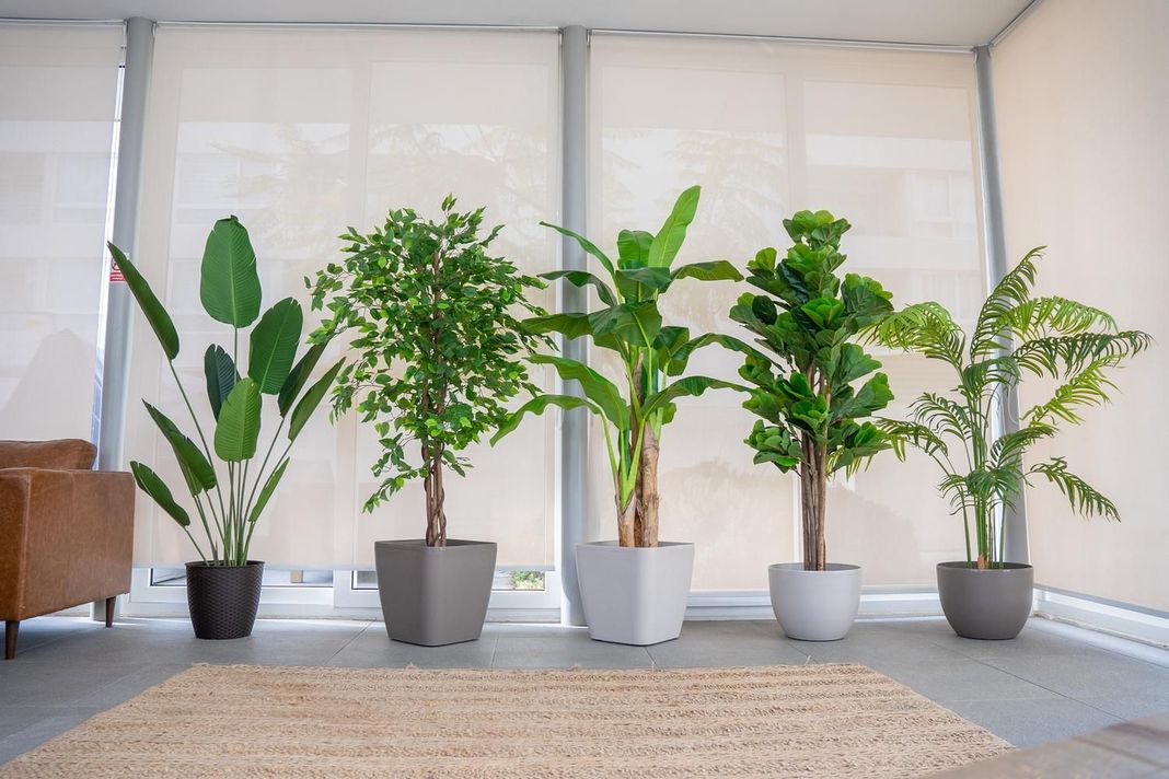 2 Plantas Artificiales Premium Banano 180 Cm Arbusto Real-7