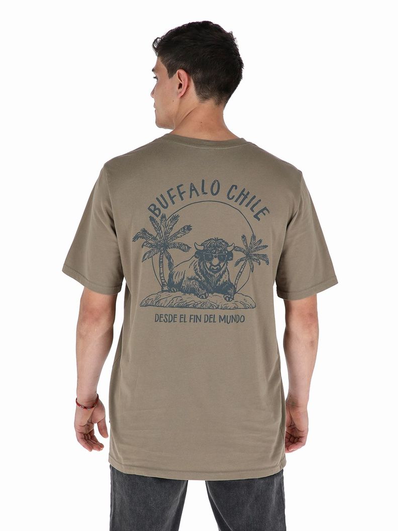 Polera Amanecer Cafe Hombre Buffalo-2