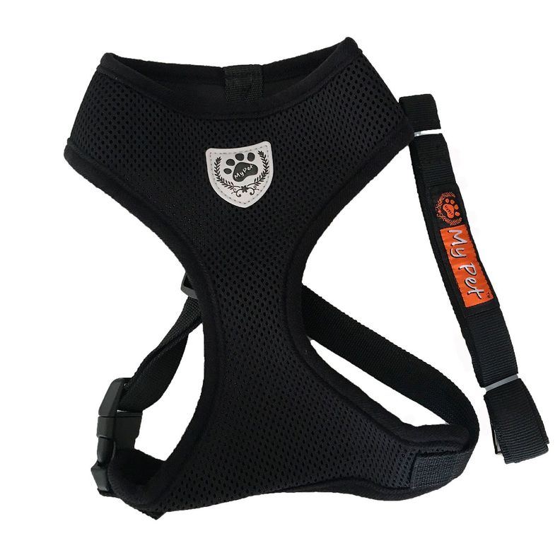 Arnés Negro Con Correa talla XL-0
