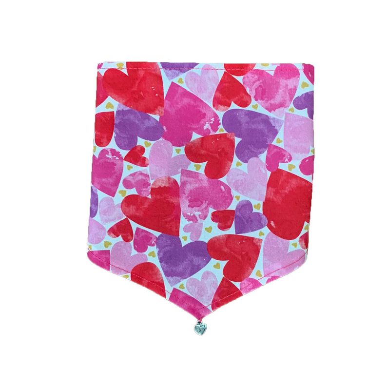 Bandana Colores talla M-0