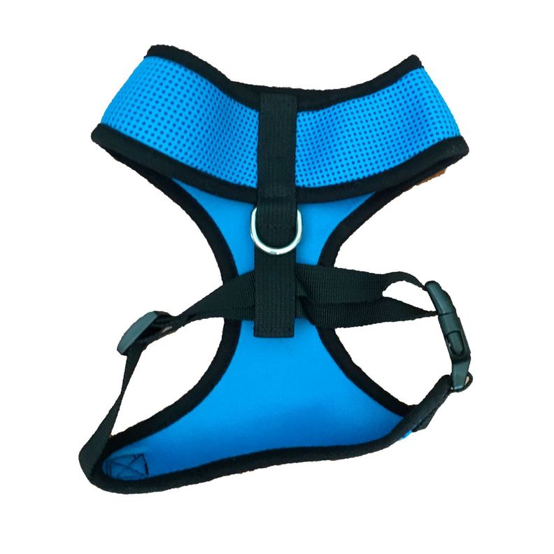Arnés Celeste Con Correa talla XL-1