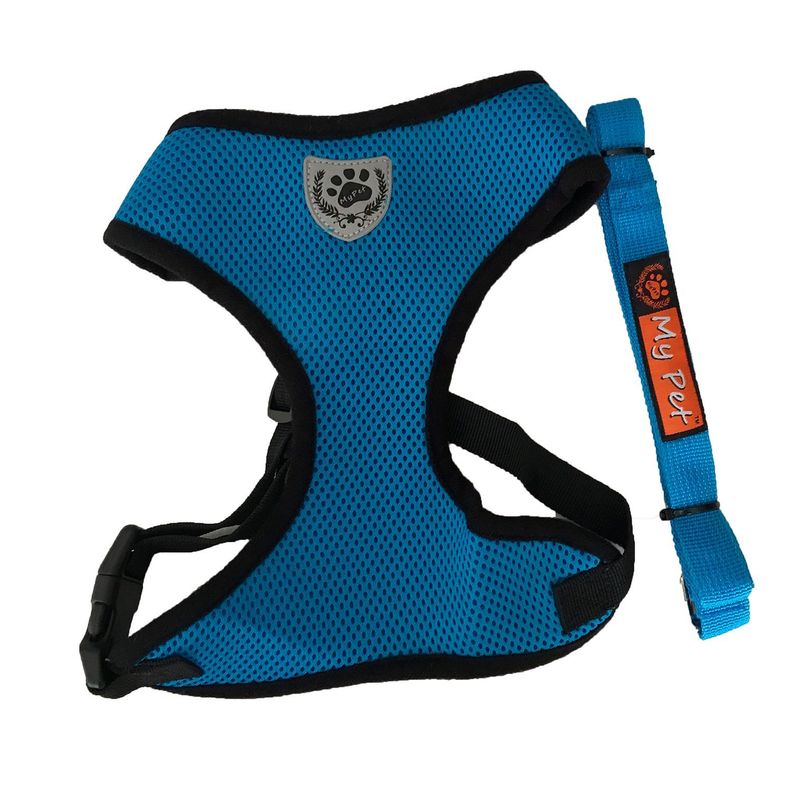 Arnés Celeste Con Correa talla XL-0