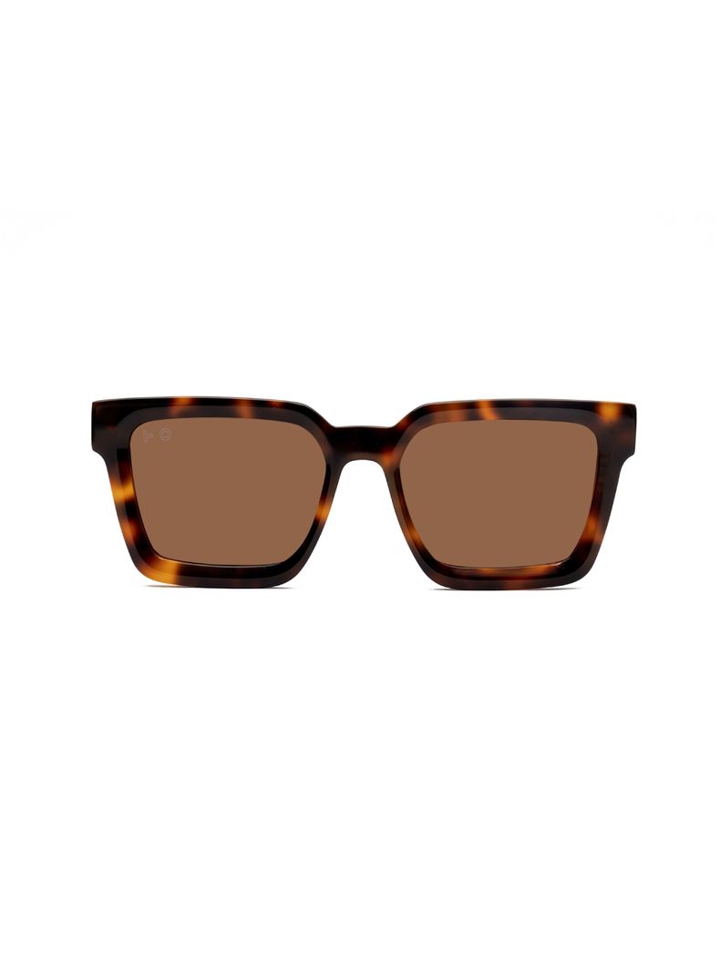 Miro Tortoise  - INZTINTO - Anteojos de Sol Cafe