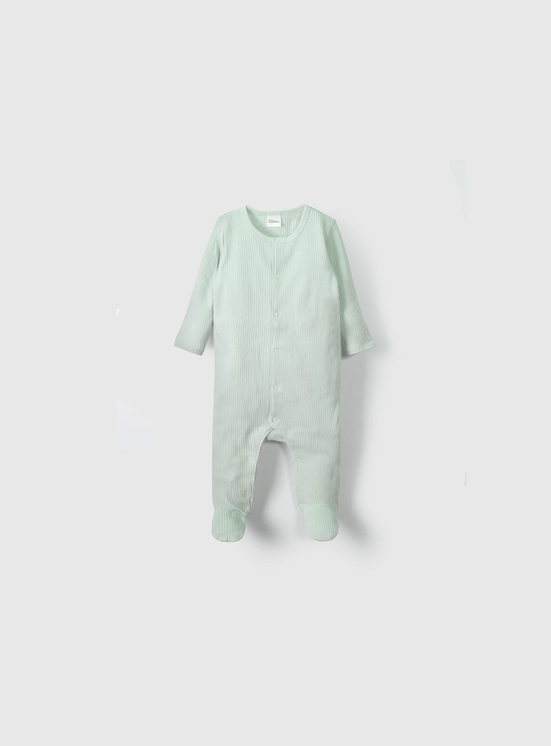 Osito Unisex Verde 55453 Colloky-0