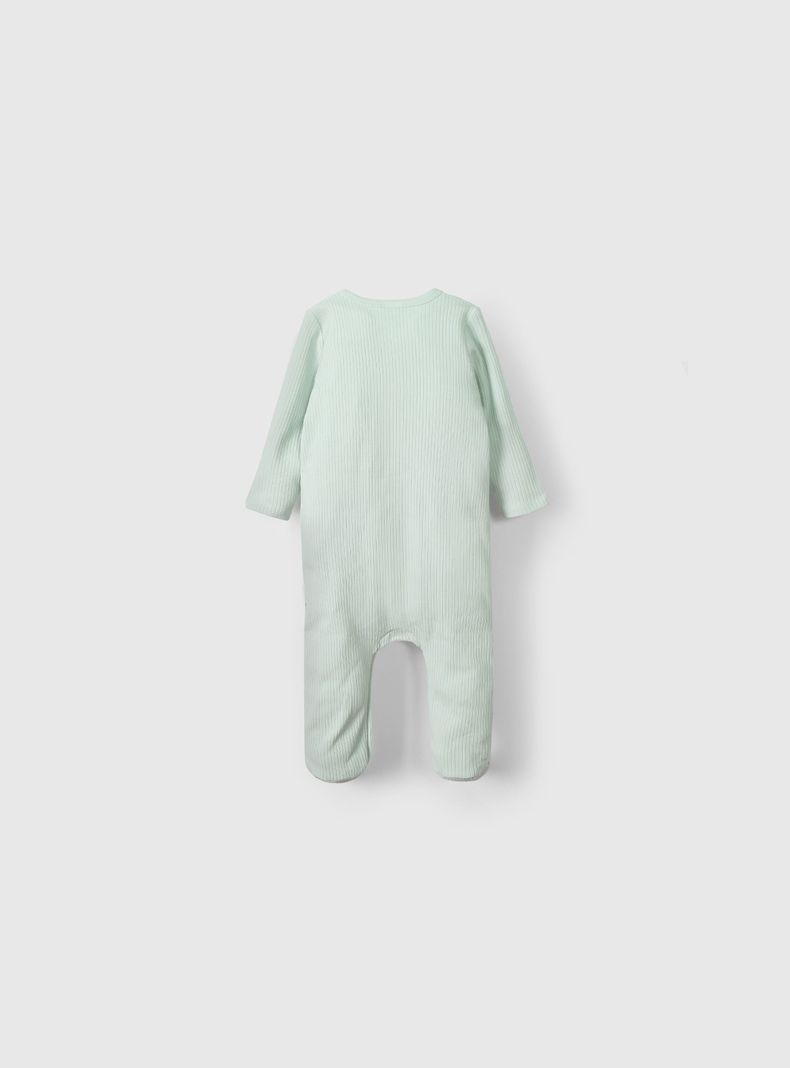 Osito Unisex Verde 55453 Colloky-1