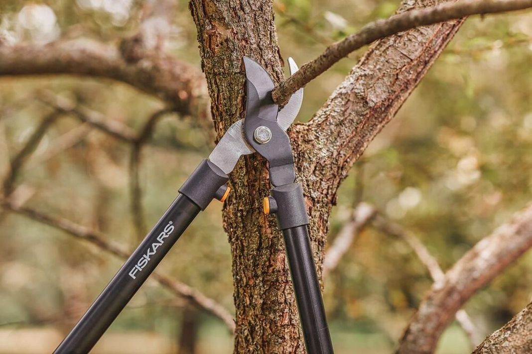 Tijerón de Podar Corte Bypass Fiskars 71 cm-4