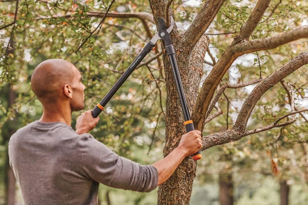 Tijerón de Podar Corte Bypass Fiskars 71 cm-5