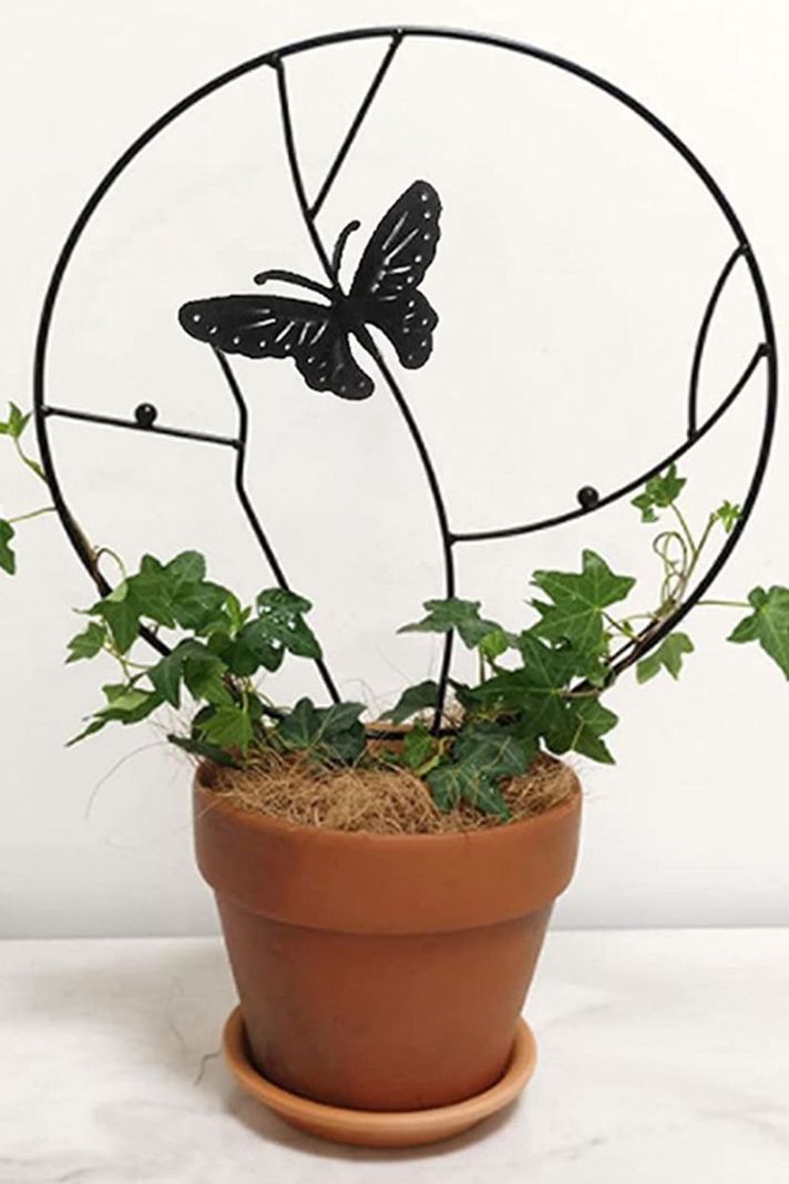 Soporte plantas enredaderas trepadoras tutor Mariposa Negra	-4