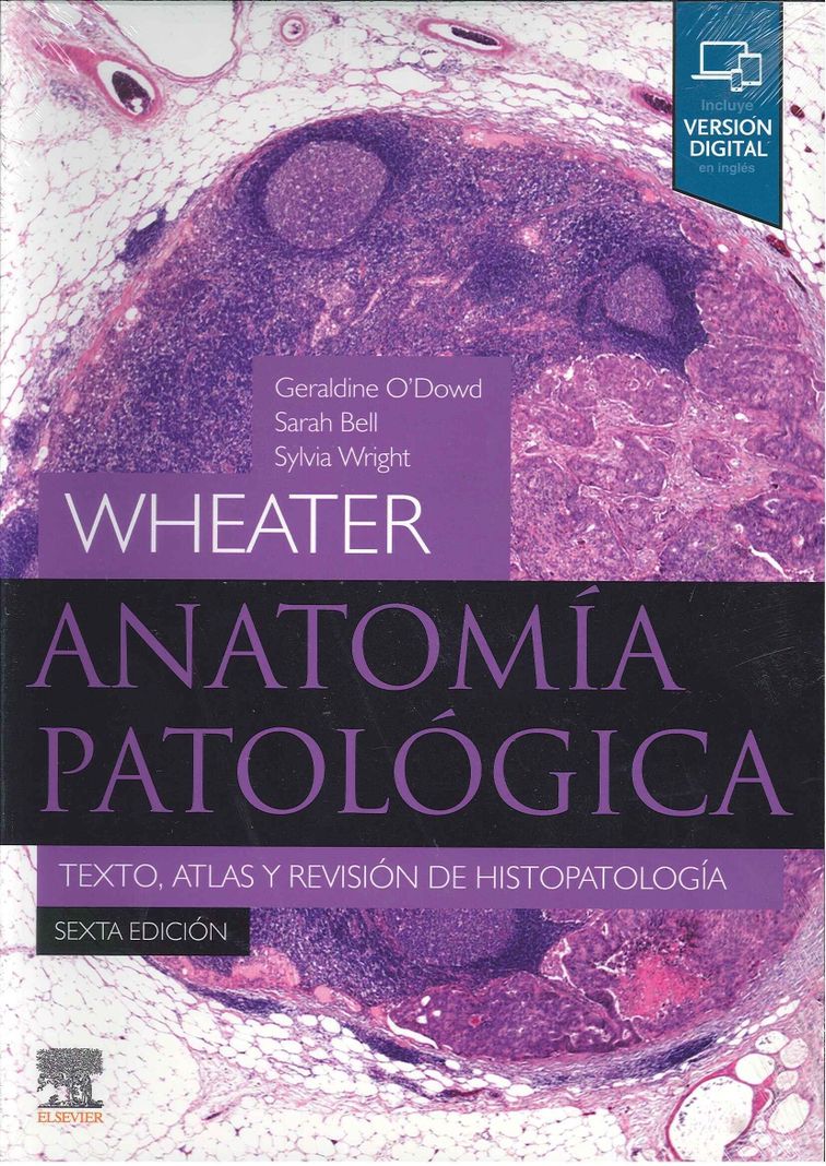 Anatomia Patologia Texto Atlas Y Revis Hist 6 Ed-0