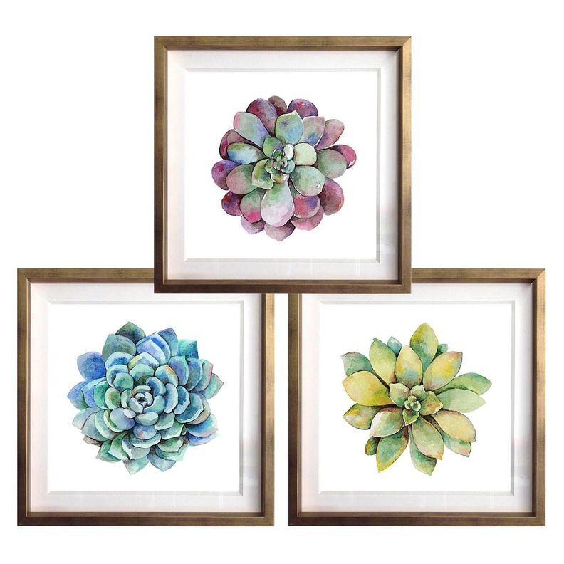 Set 3 Cuadros Dorado Suculentas 40X40-0