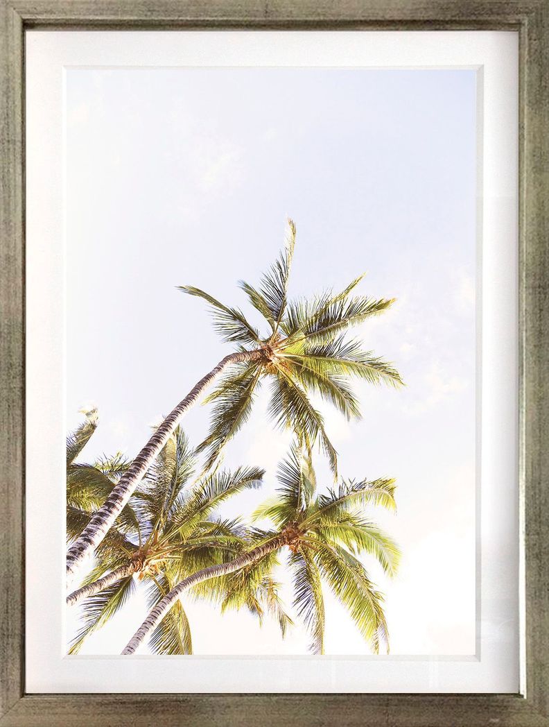 Set 3 Cuadros Paradise 40x50 Marco Plateado-2