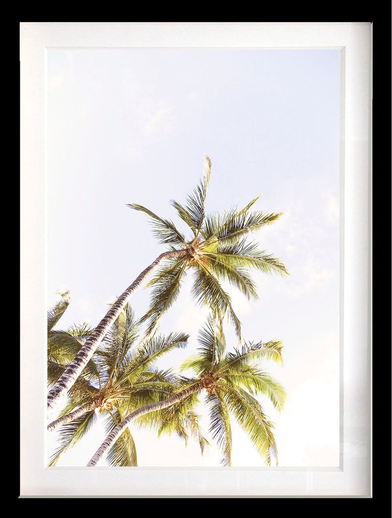 Set 3 Cuadros Paradise 40x50 Marco Negro-2