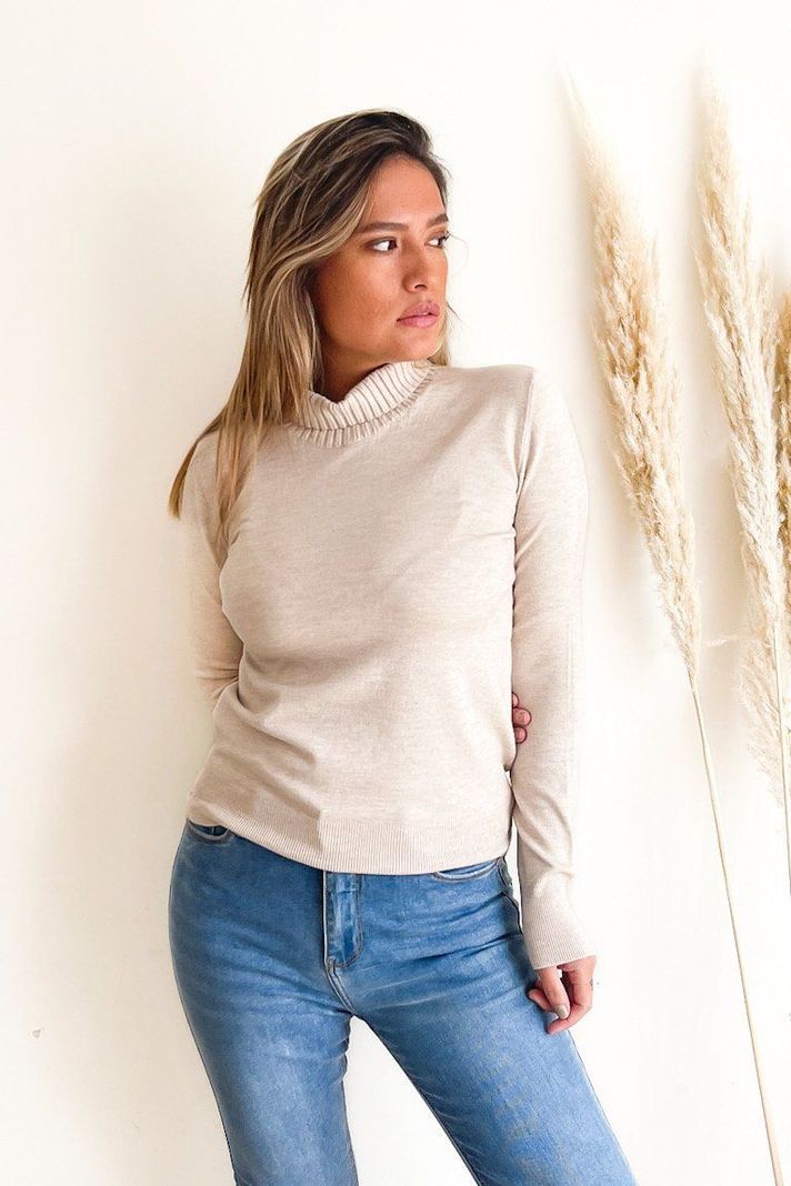 Sweater básico diseño Noa colores-0