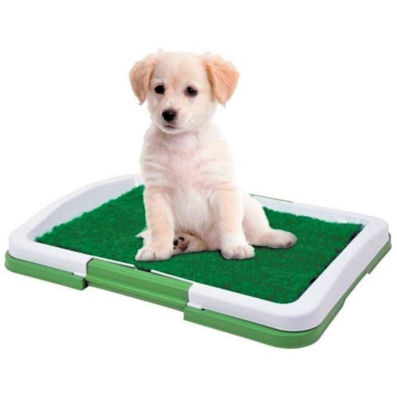 Baño Para Perros Y Gatos Ecológico Mascota 3 Niveles 47x34cm-0