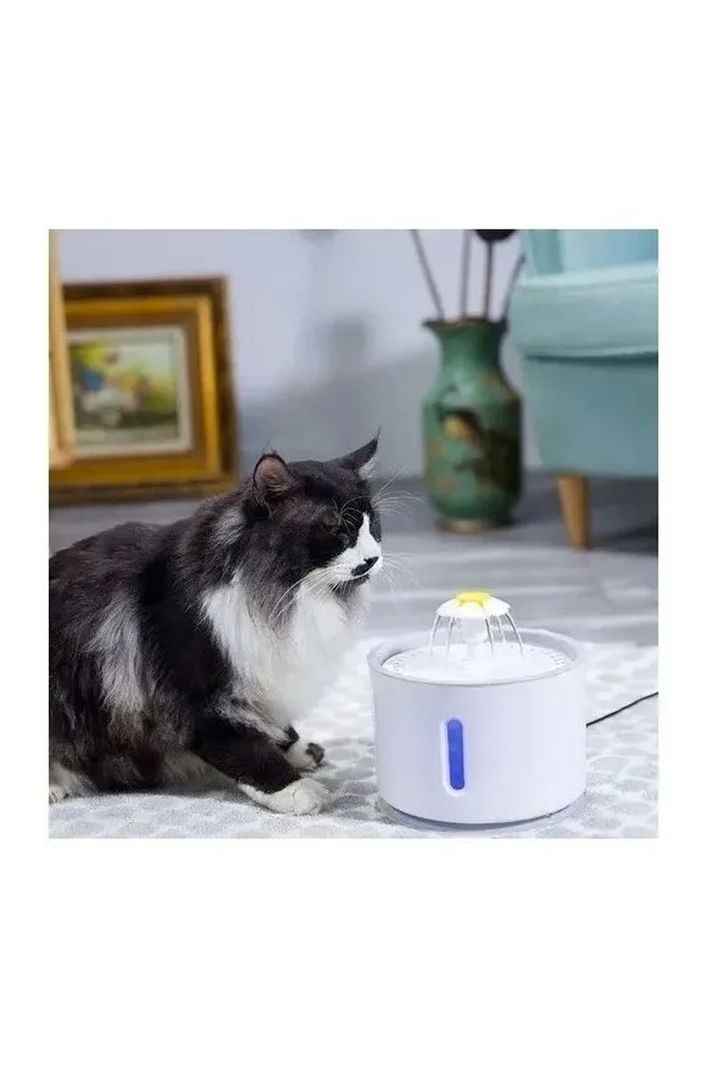 Fuente Dispensador Agua Eléctrico Bebedero Gatos + 4 Filtros-3