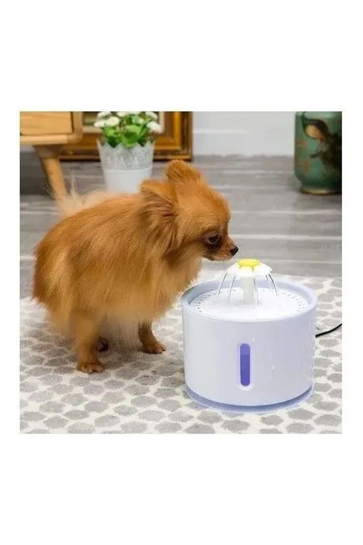 Fuente Dispensador Agua Eléctrico Bebedero Gatos + 4 Filtros-5
