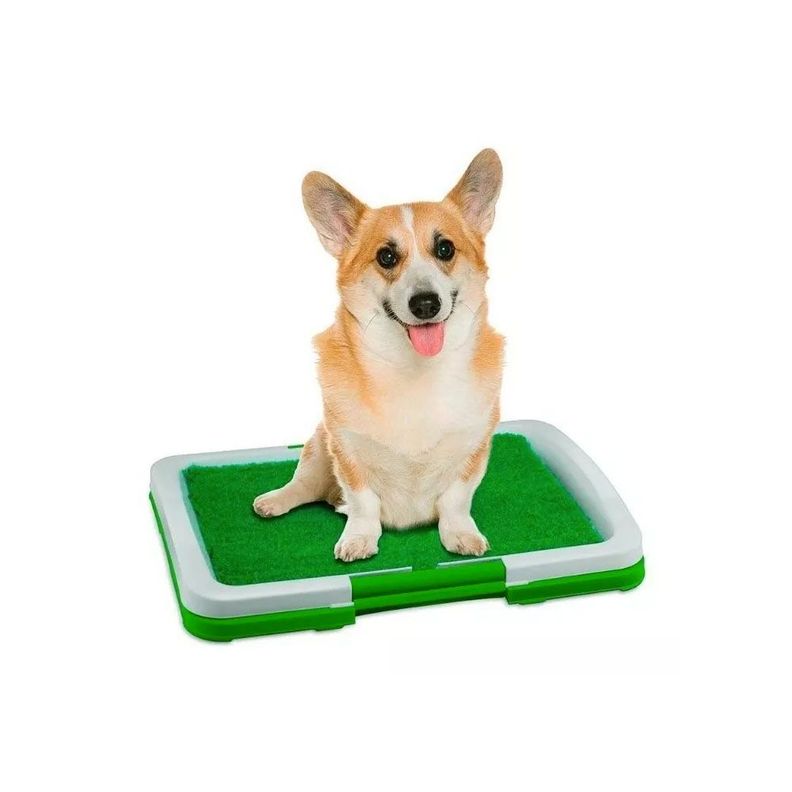Baño Para Perros Y Gatos Ecológico Mascota 3 Niveles 47x34cm-2