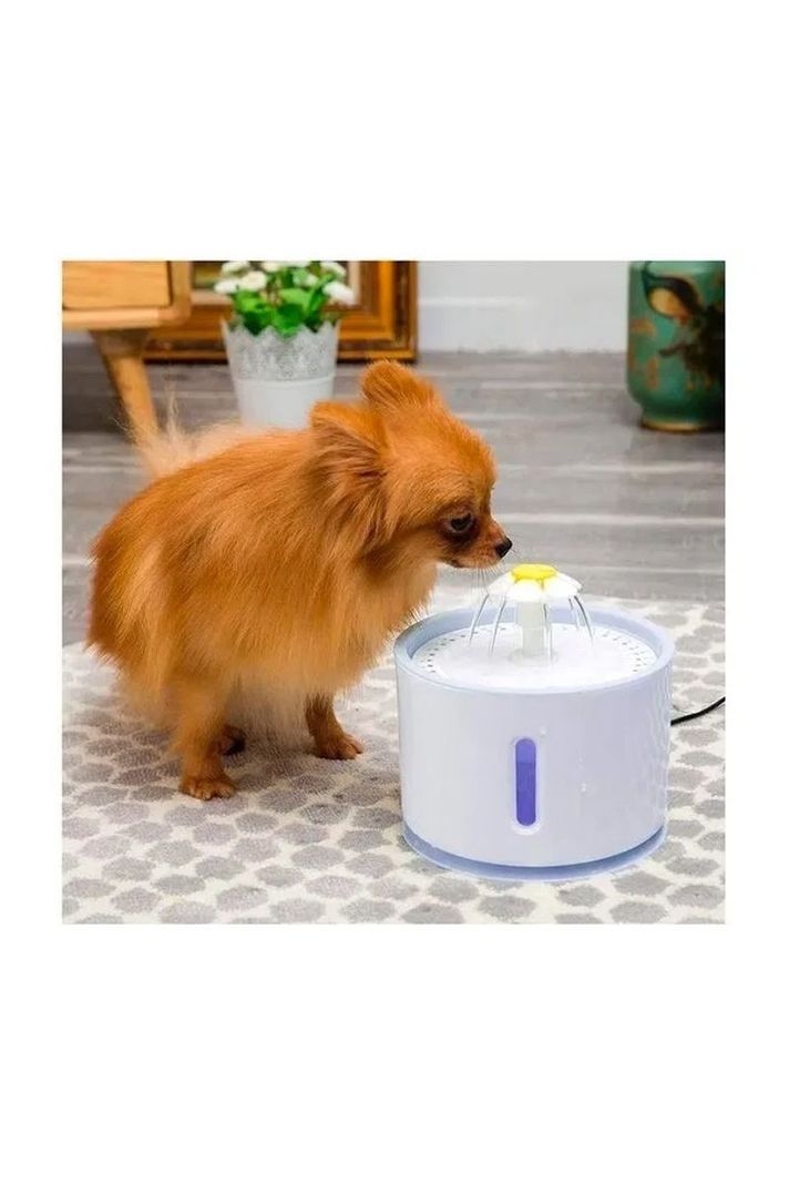 Fuente De Agua Bebedero Para Gatos Y Perro Eléctrica-3
