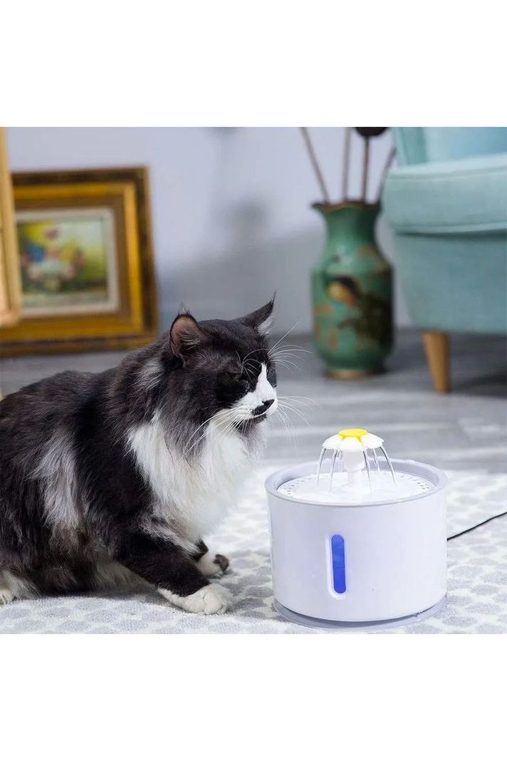 Fuente De Agua Bebedero Para Gatos Y Perro Eléctrica-4
