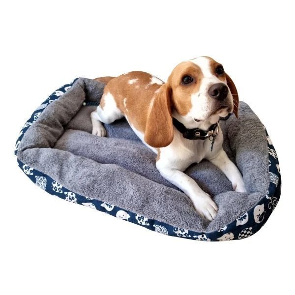 Cama Mascota Perro Gato Rectangular 60 X 40 Cms-0