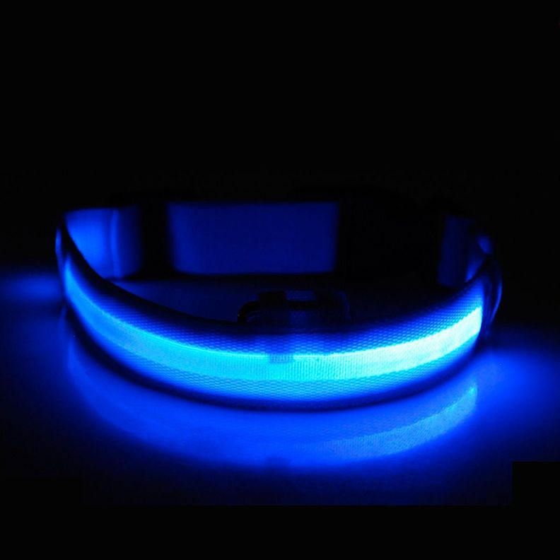 Collar Con Luz Led Para Perros Gatos Talla M Celeste-1