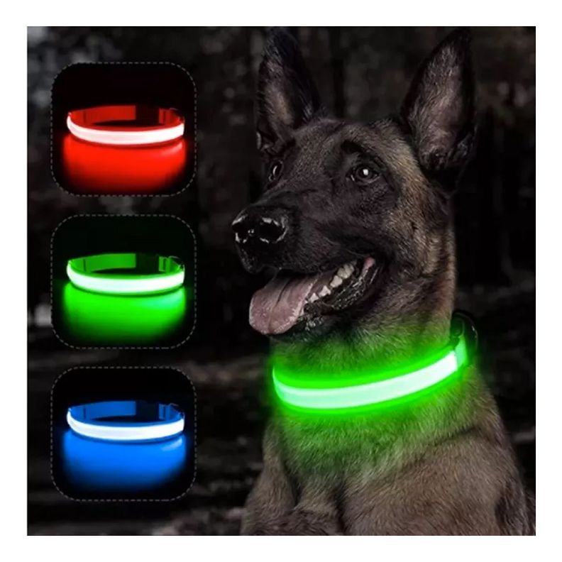 Collar Con Luz Led Para Perros Gatos Talla M Celeste-2