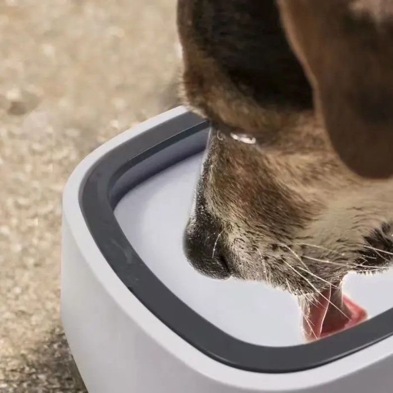 Bebedero Antiderrame Perros Gatos Agua Mascotas Rondon-4