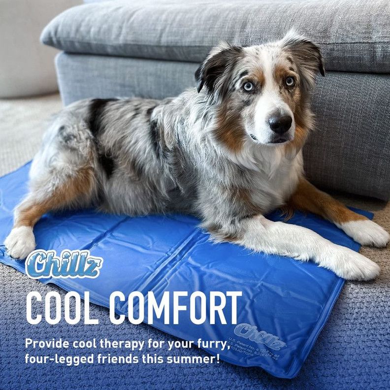 
Cama Refrigeración Perros Impermeable Oxford Verano Rondon-6