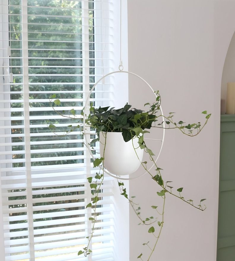 Maceta Colgante Decorativa Plantas Flores Blanca Jhn-3