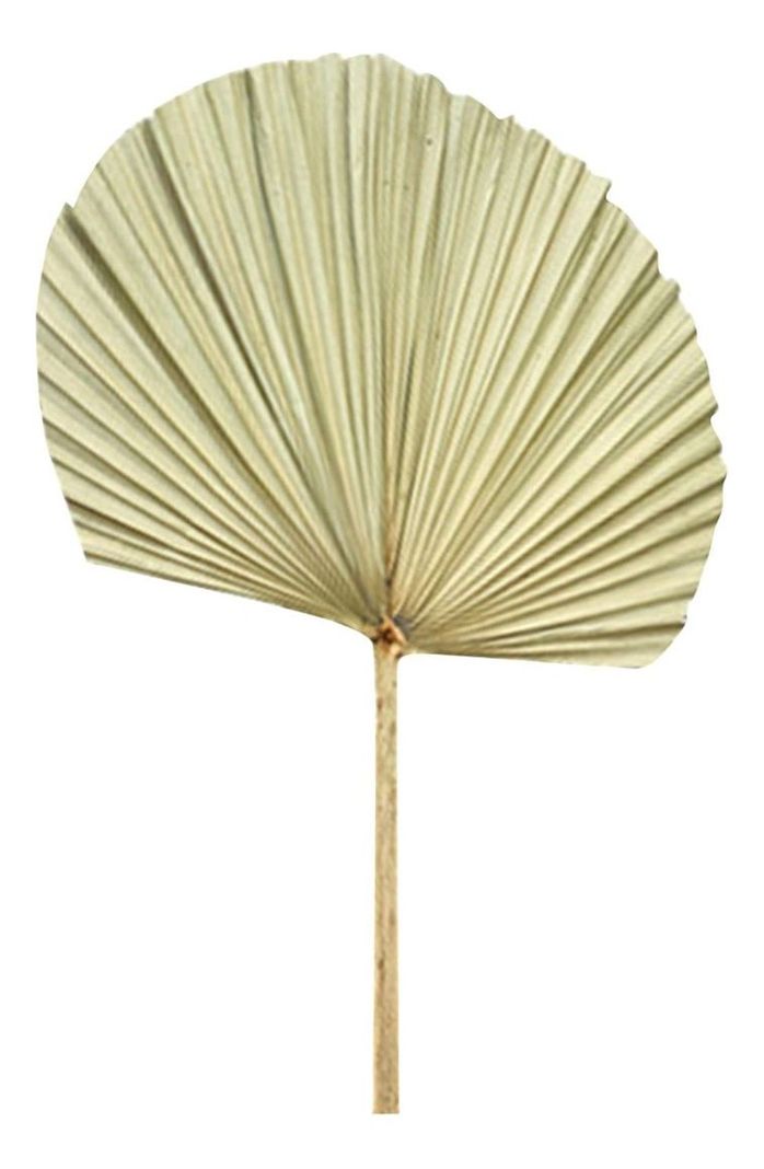 Set de 3 Abanico Grande Hojas Palma Natural Decoración Jhn-0