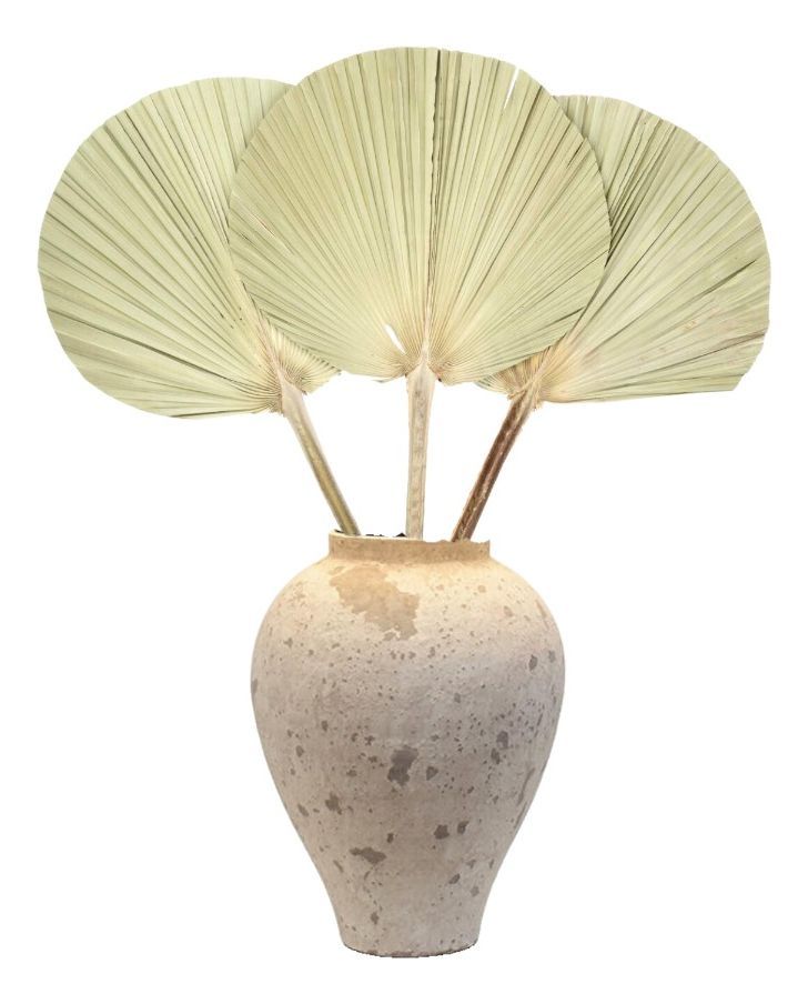 Set de 3 Abanico Grande Hojas Palma Natural Decoración Jhn-4