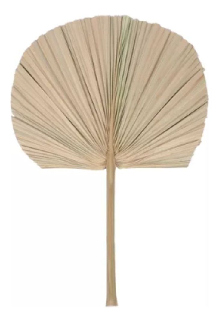 Set de 3 Abanico Grande Hojas Palma Natural Decoración Jhn-8