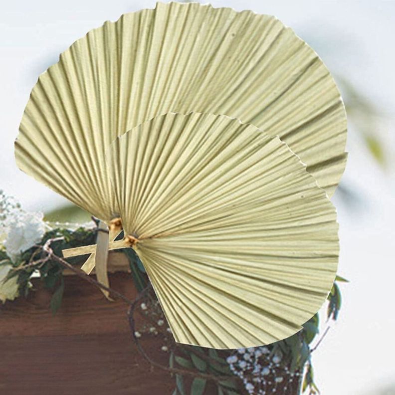 Set de 3 Abanico Grande Hojas Palma Natural Decoración Jhn-9