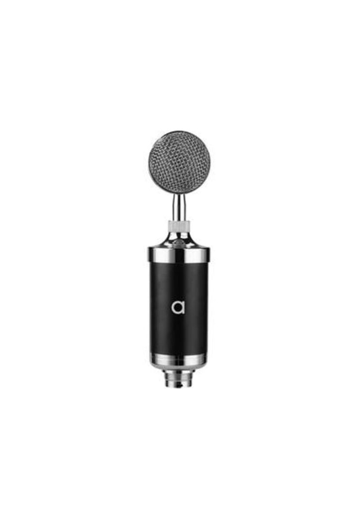 Microfono Audiolab Condensador Home Studio Fx-0