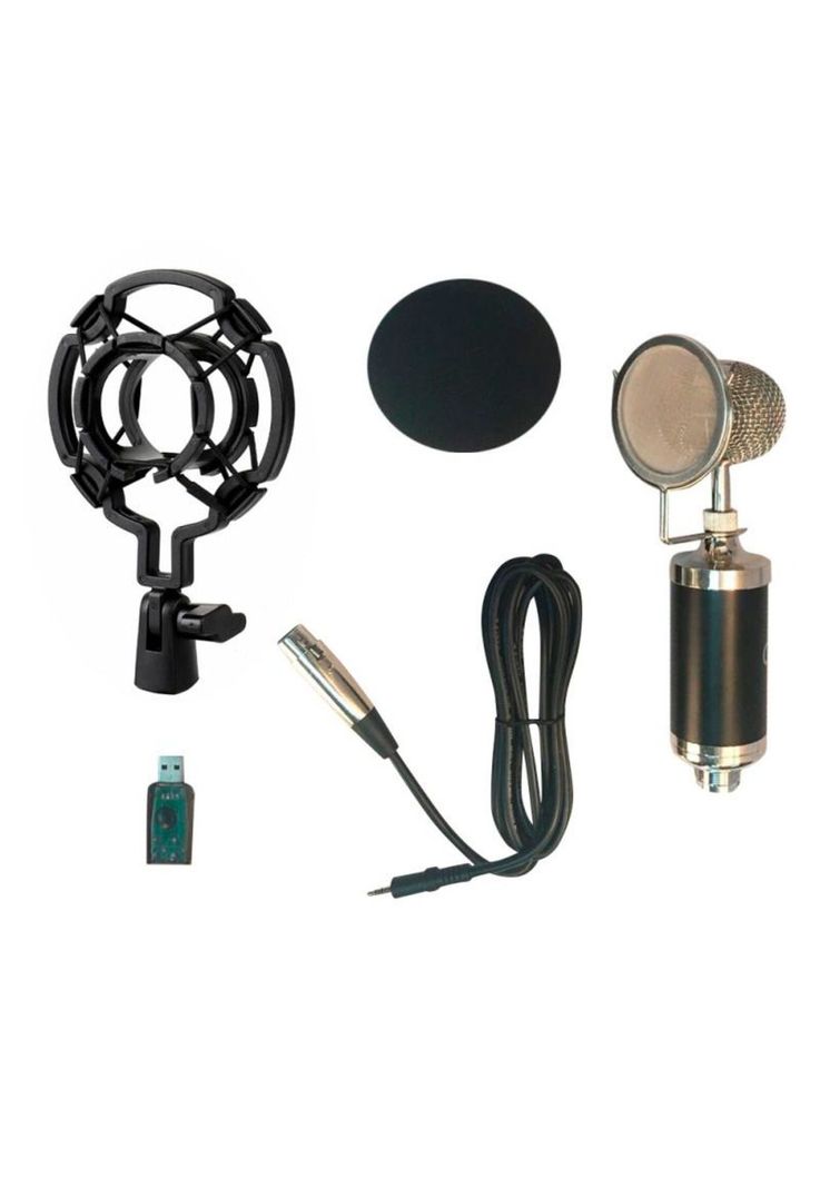 Microfono Audiolab Condensador Home Studio Fx-2