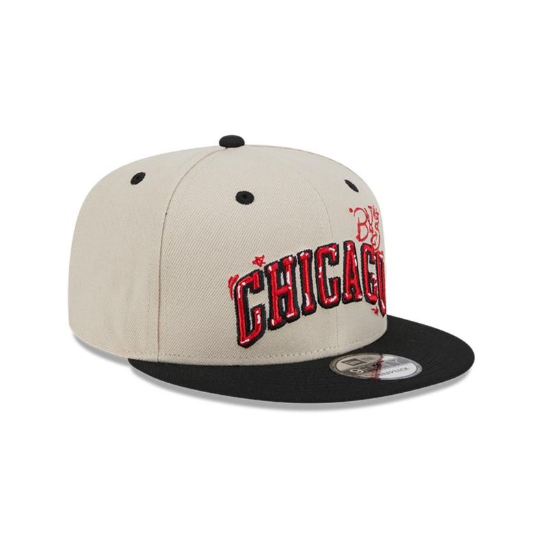 Gorra 9Fifty Chicago Bulls NBA Team Art Med Beige - 60586762-1
