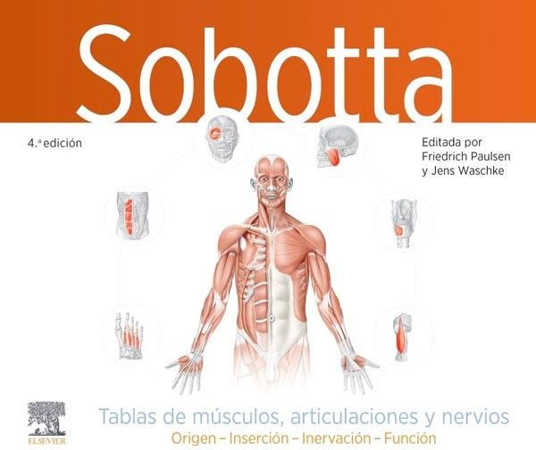 Sobotta Tablas Músculos Articulaciones Y Nervios