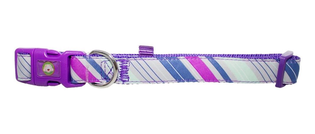 Collar Perro Diagonal S Morado Mascan-0