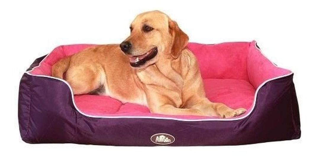 Cama Reversible Doble Color Perro Talla M Morado Mascan-3