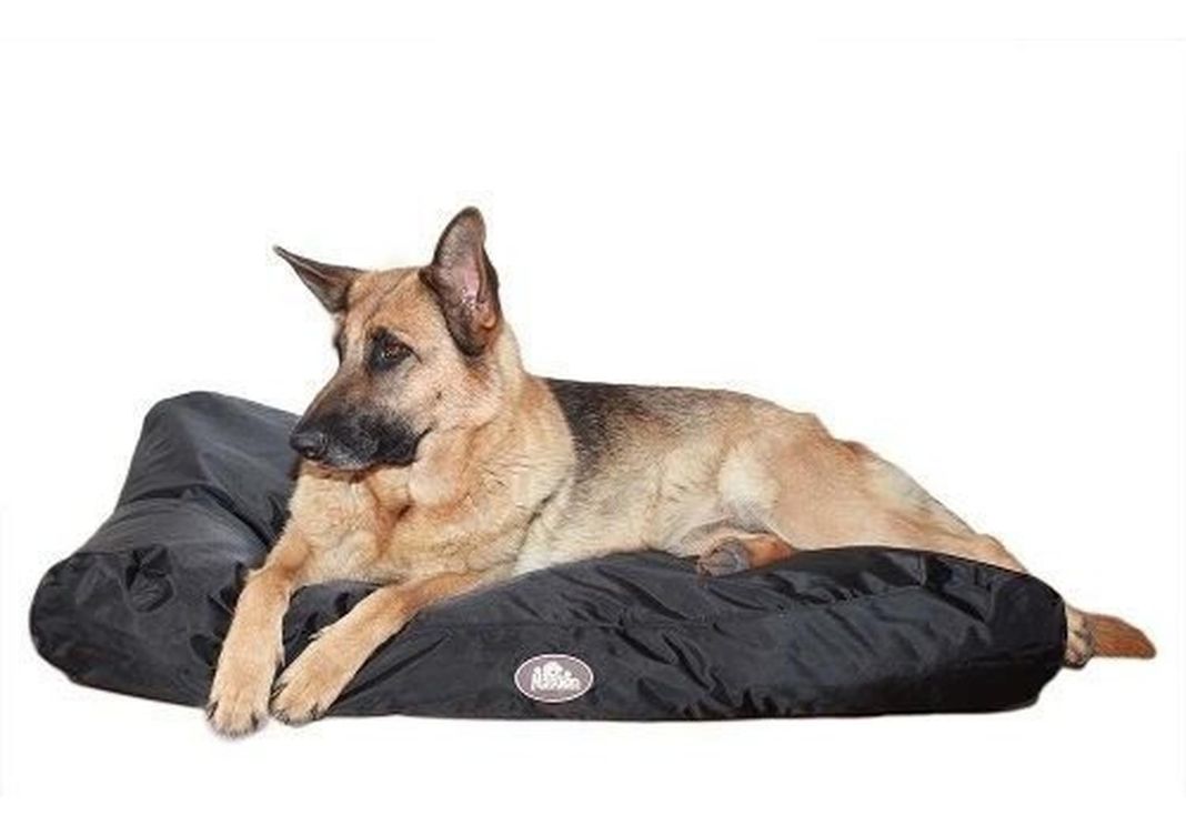 Cama Impermeable Con Memory Foam Perro Mascan Talla S-1