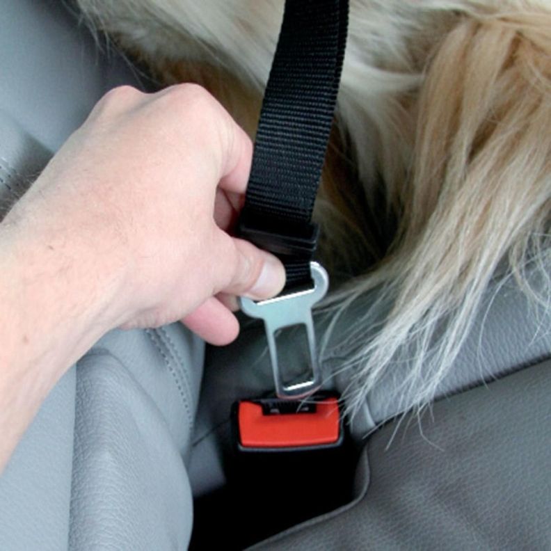 Arnés Multiuso Negro Para Perro S Mascan-5