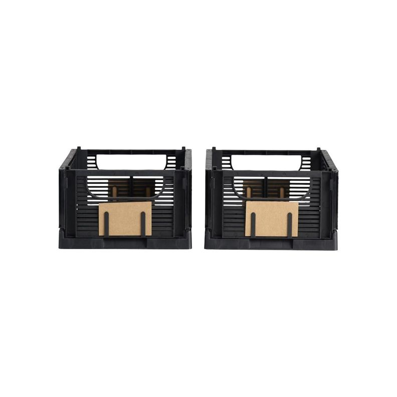 Set 2 Cajas De Almacenamiento Plegable 25 X 17 X10 cm DAY