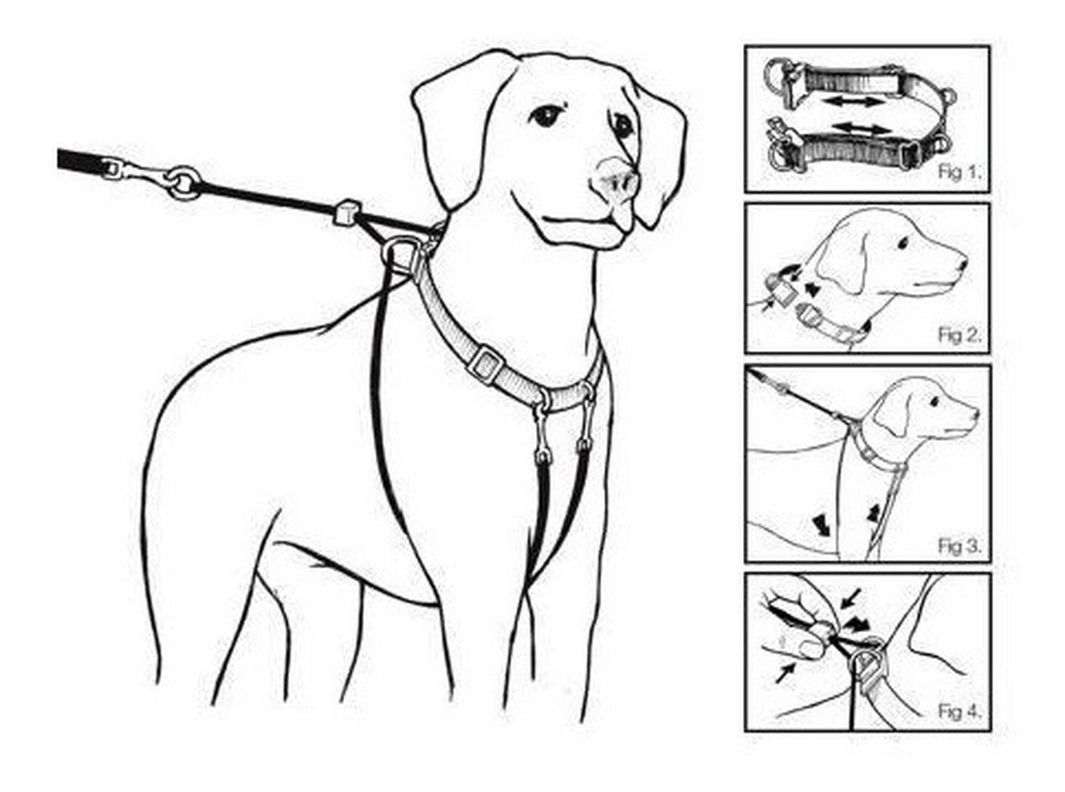 Arnés Anti-pull Xl Paseo Seguridad Mascotas Perro-4