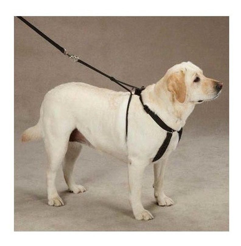 Arnés Anti-pull Xl Paseo Seguridad Mascotas Perro-5