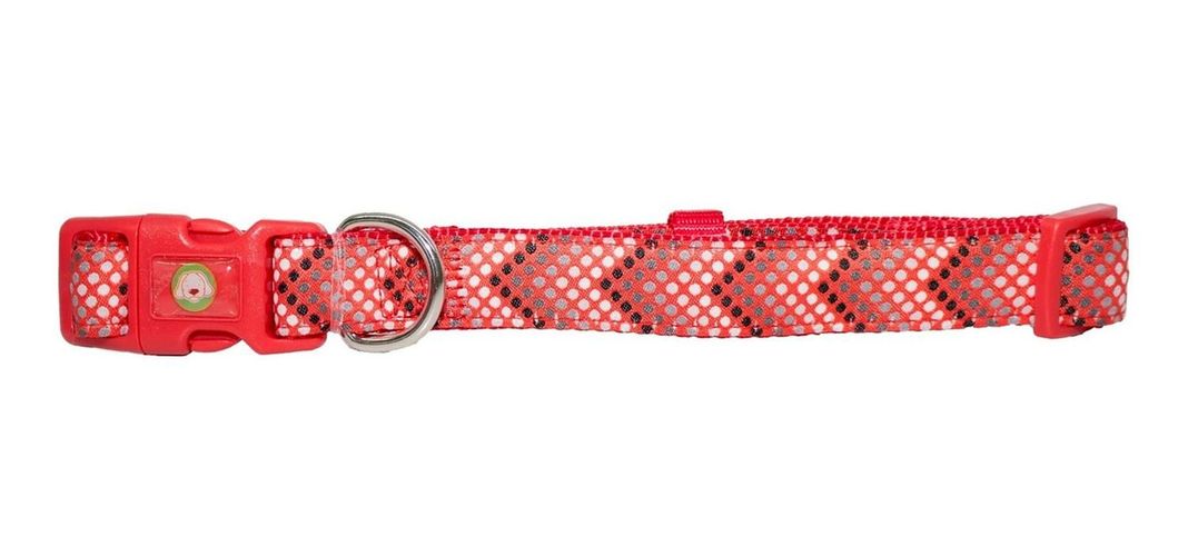 Collar Perro Puntitos M Rojo Mascan-0