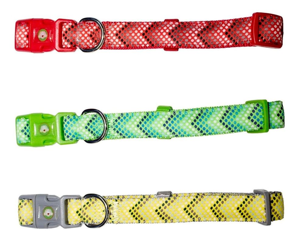 Collar Perro Puntitos M Rojo Mascan-2